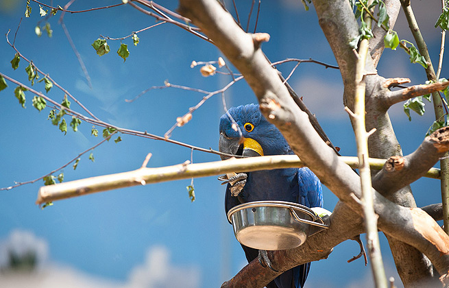 智能资源调配的DDOS在线攻击平台