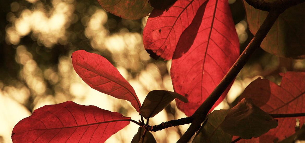 DDOS在线压力测试